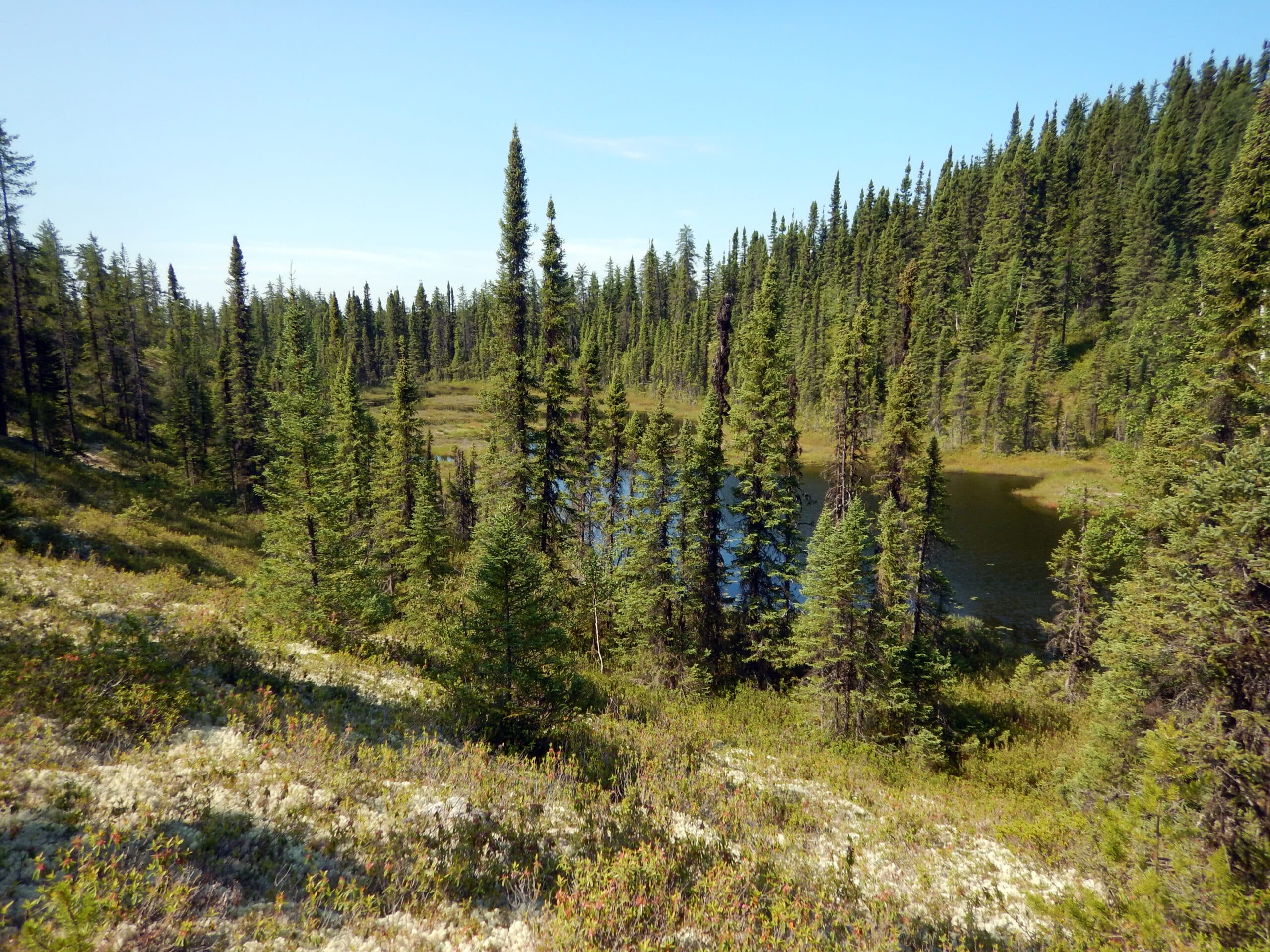 Laboratoire EcoTer CREB Centre de recherche sur la boréalie — free download