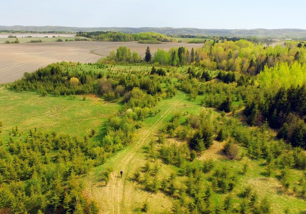 c-Plantation agricole